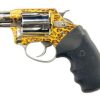 Buy Charter Arms Leopard Undercover Lite, .38 Special, 2", 5rd, Leopard Print