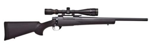 Buy Howa/Hogue GameKing Scope Package .223 Remington 22" Contour Barrel Blue Finish Black Hogue Stock 5rds With GameKing 3.5-10x44mm Riflescope