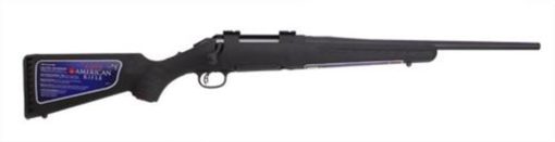 Buy Ruger American Rifle .243 Compact