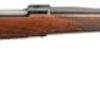 Buy Ruger M77 Hawkeye Standard .204 Ruger 24 Inch Satin Blue Finish Barrel American Walnut Stock No Sights 5 Rounds