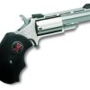 Buy North American Arms NAA 22lr 2 Black Widow Ss As