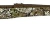 Buy Weatherby Vanguard Badlands 25-06 Rem, 5rd