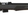 Buy Rossi RB17, Bolt Action Rifle, 17HMR, 21" Barrel, Black, Synthetic Stock, 5Rd