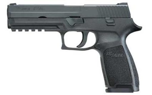 Buy Sig P250 Full Size 45 ACP 4.7 Barrel Contrast Sights Black Nitron Slide Finish 10 Rd Mag