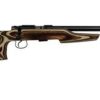 Buy CZ 455 Var Evo 17hmr Coyote Lam