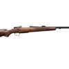 Buy CZ 550 Safari Classics .505 Gibbs fancy grade Am. Walnut glossy blue action