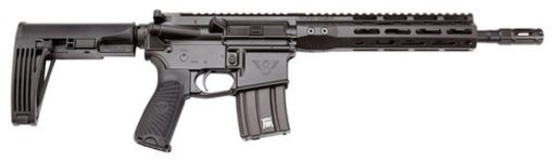 Buy Wilson Combat Protector Carbine 300 HAM'R, 16.25", Black 6 Position Rogers Super-Stoc, Black Aluminum Receiver, 30rd