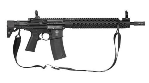 Buy Troy Alpha Carbine 5.56/223 14.5" Barrel, Flash Hider (16" OAL), PDW Stock, 30 Round Mag