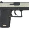 Buy Diamondback Model DB380 .380 ACP 2.8 Inch Barrel Stainless Steel Slide Polymer Frame 6 Round