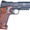 Buy GSG M1911 HGA .22LR 5" Barrel, WDGP 10RD INCLUDES TARGET GRIP SET