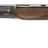 Buy Breda Xanthos 12 Ga, 26" Barrel, 3" Chamber, Walnut Stock, Black,, rd, 3 rd