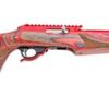 Buy Tactical Solutions X-Ring .22LR Rifle, Vantage RS Stock, Red Anodized