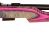 Buy CZ 455 Varmint Evolution .17 Hmr 5 Rd Mag Gloss Pink Laminate