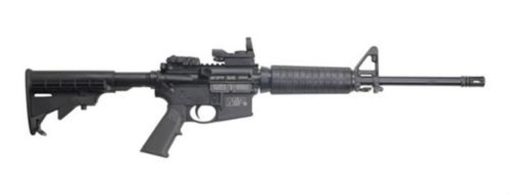 Buy Smith & Wesson M&P 15 Sport II Custom Package, TRUGLO Reflex Sight, Hard Case & 2 Mags