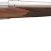 Buy Remington 700 CDL 2020 Limited Edition 300 Savage, 22" Barrel, Stainless Finish, Walnut Stock, 4rd