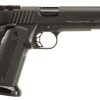 Buy Para-Ordnance ProCust 10.45 45 ACP, 5" Barrel, Adjustable Rear Sight, STL/NIT VZ G10 Grips,, rd, 10 rd