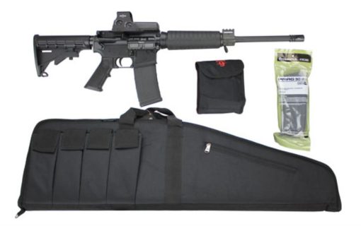 Buy Armalite AR-15 Rifle Package, EOTech 512 Sight, Case & Mags