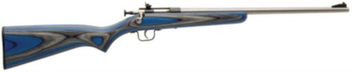 Buy Keystone Crickett 22LR, Stainless Steel Barrel, Blue Laminate