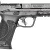 SMITH & WESSON M&P9 M2.0 (LIMITED EDITION TENNESSEE)