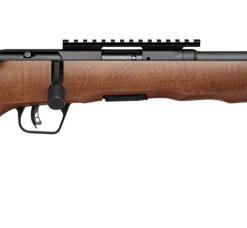 SAVAGE ARMS B17 TIMBER THUMBHOLE for sale