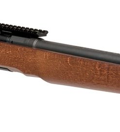 Buy SAVAGE ARMS B17 TIMBER THUMBHOLE